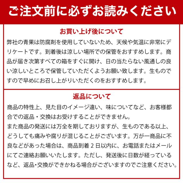 伊藤農園 【特選】きよみ清見 10kg 和歌山直送 [ノーワックス・ノーブラッシング・防腐剤不使用・産地直送]