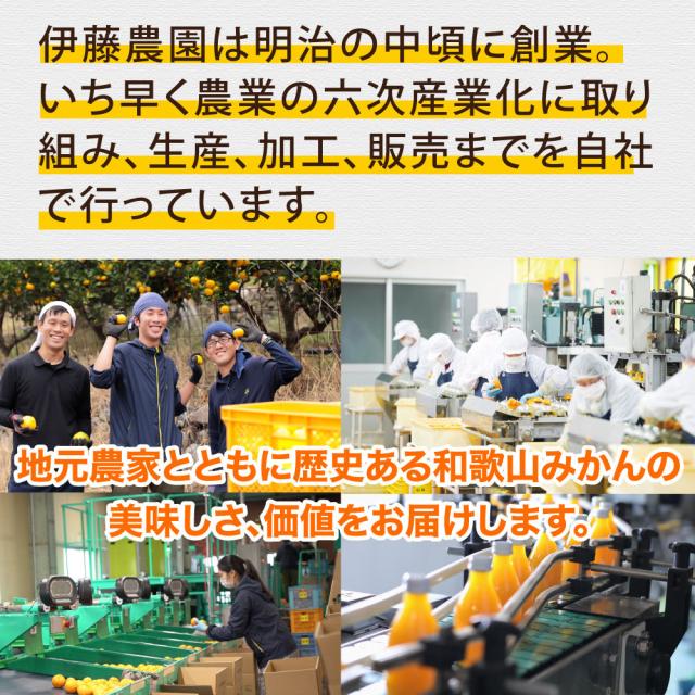 ゼリー ギフト 詰め合わせ みかんゼリー スイーツ フルーツゼリー30個 無添加 みかんジュレ 和歌山 国産 贈答用 誕生日プレゼント 内祝い 結婚祝い 出産祝い 出産内祝い 洋菓子_17
