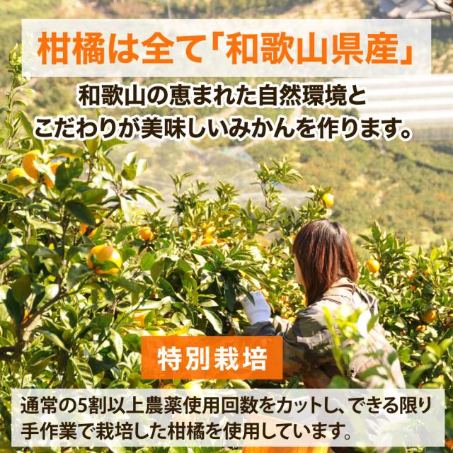ゼリー ギフト 詰め合わせ みかんゼリー スイーツ フルーツゼリー30個 無添加 みかんジュレ 和歌山 国産 贈答用 誕生日プレゼント 内祝い 結婚祝い 出産祝い 出産内祝い 洋菓子_6