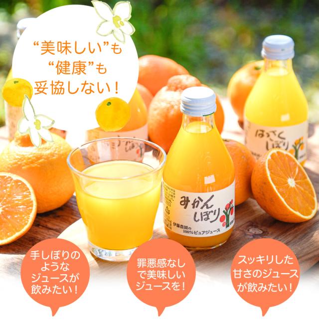 伊藤農園 100%ピュアジュース みかんジュース・オレンジジュース 180ml×24本 [有田みかん・国産（和歌山産柑橘）・無添加・ストレート]_3