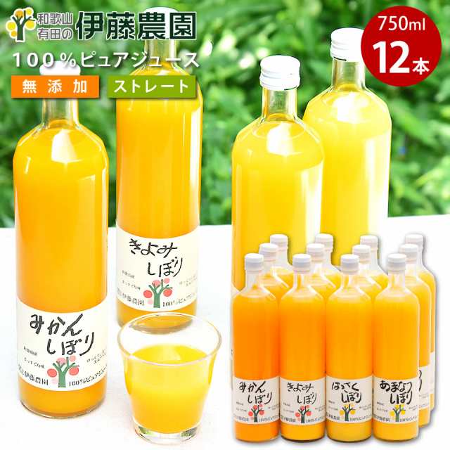 ギフト ジュース みかんジュース ストレート 750ml 12本 和歌山 国産 無添加 果汁100% 飲み比べ みかんしぼり 伊藤農園 ジュース 大瓶 ギ