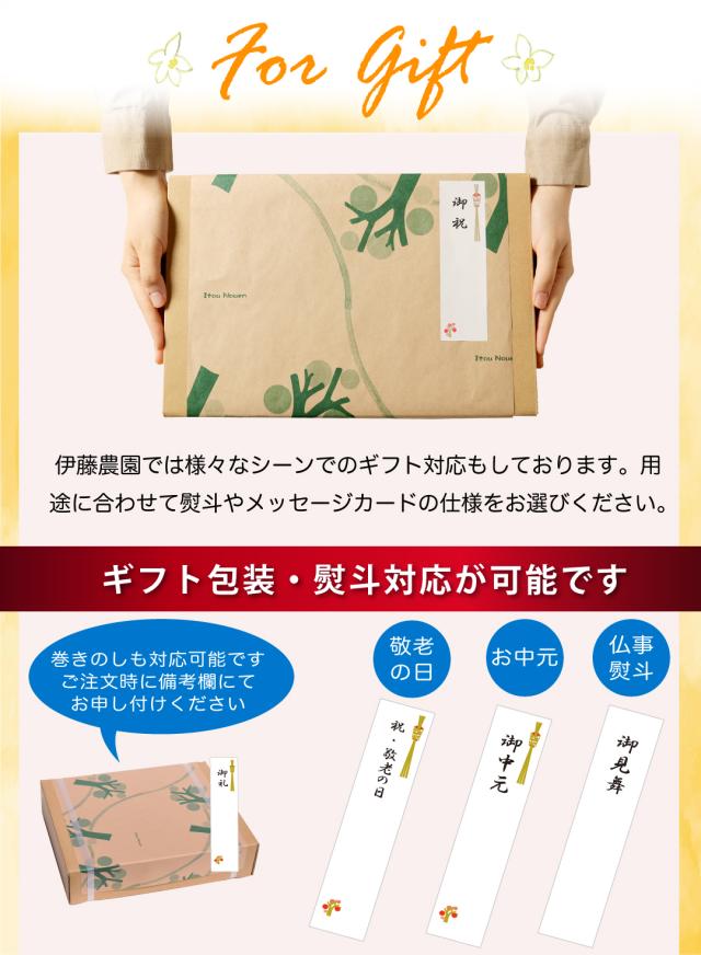 伊藤農園 100%ピュアジュース みかんジュース・オレンジジュース 180ml×24本 [有田みかん・国産（和歌山産柑橘）・無添加・ストレート]_13