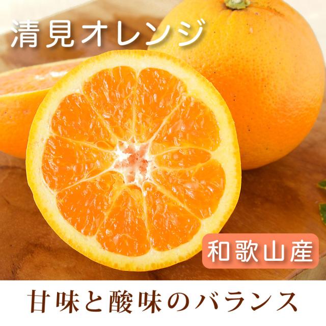 伊藤農園 【特選】きよみ清見 10kg 和歌山直送 [ノーワックス・ノーブラッシング・防腐剤不使用・産地直送]