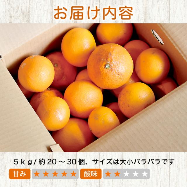 伊藤農園 【特選】きよみ清見 10kg 和歌山直送 [ノーワックス・ノーブラッシング・防腐剤不使用・産地直送]