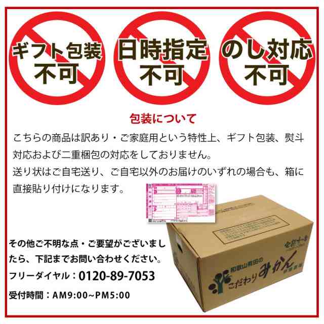 みかん かんきつ 詰め合わせ 柑橘類 訳あり 10kg 和歌山みかん 送料