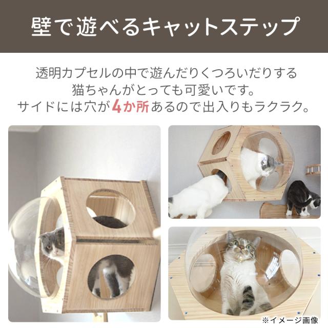 キャットウォーク 壁 壁付け 猫 壁掛け 棚板 足場 キャットステップ