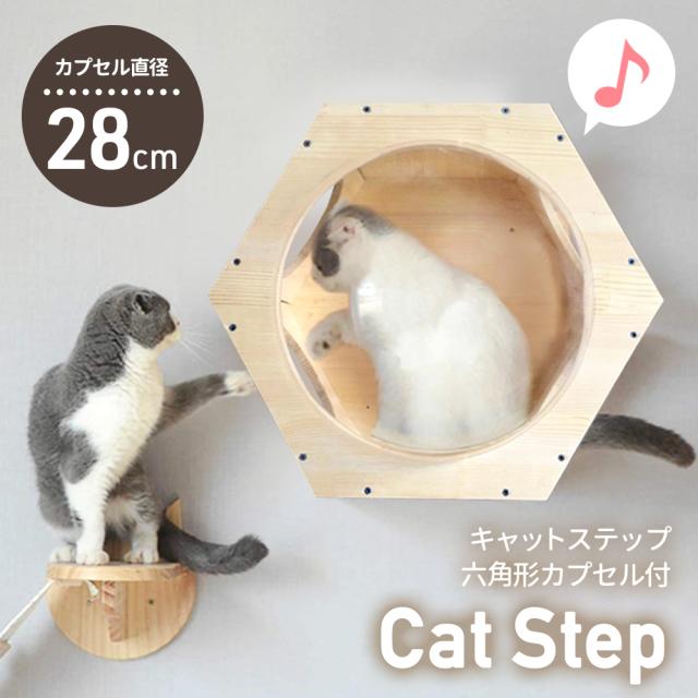 キャットウォーク 壁 壁付け 猫 壁掛け 棚板 足場 キャットステップ