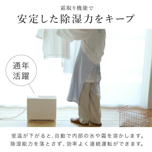 除湿機 コンプレッサー式 衣類乾燥機 17畳 切 9L/日 衣類乾燥除湿機