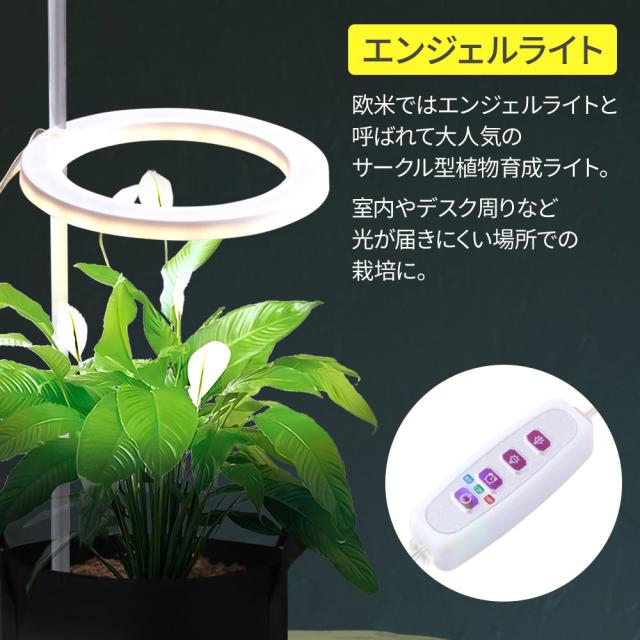 植物育成ライトスタンド 楽天市場】植物育成ライトスタンド 高さ74cm 植物ライト