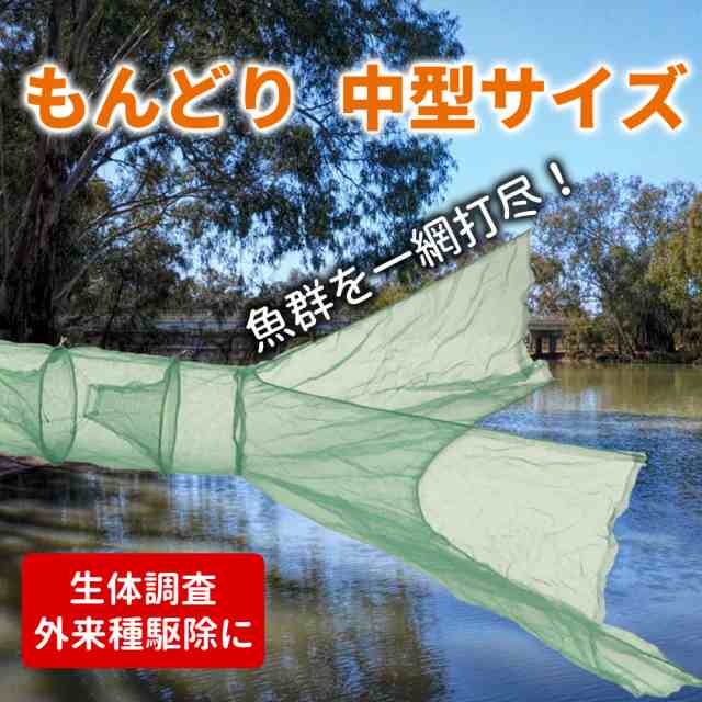 捕獲網 仕掛け網 魚捕り 中型 もんどり 魚 捕獲器 漁 外来種 外来魚 