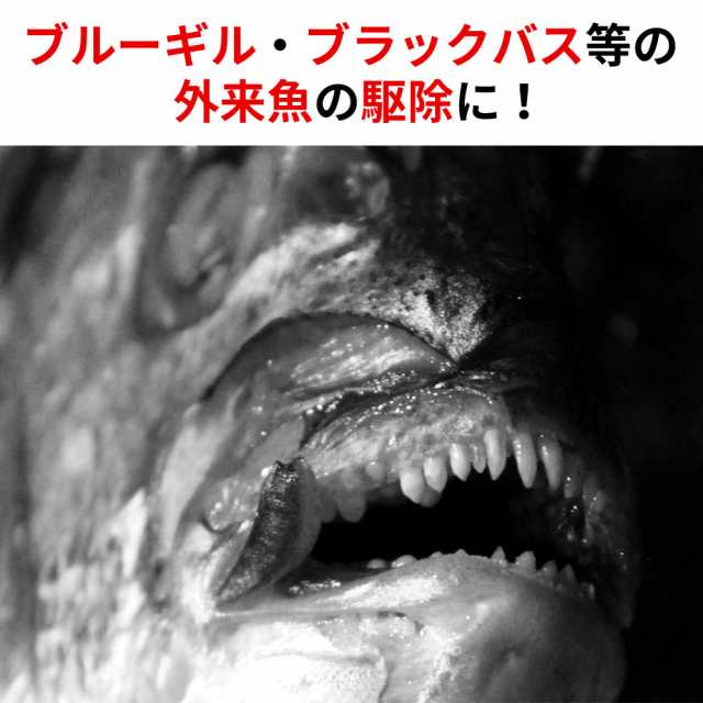 捕獲網 仕掛け網 魚捕り 中型 もんどり 魚 捕獲器 漁 外来種 外来魚 駆除 カゴ網 鮎網 釣り 0cm 330cmの通販はau Pay マーケット Regolith