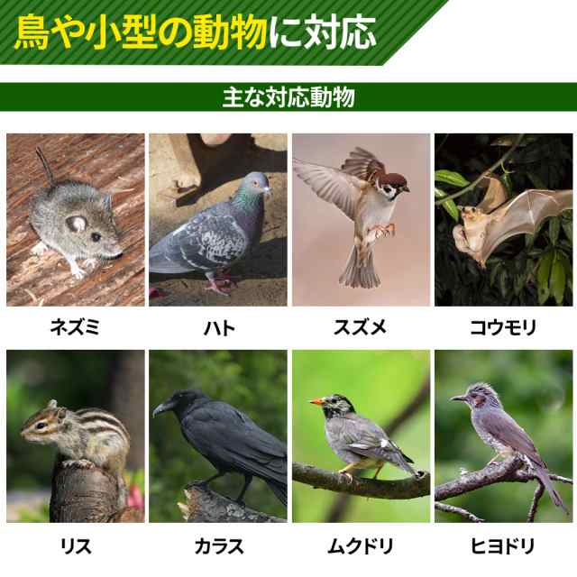 防鳥 鳥害対策 防鳥器 スズメ カラス 鳥よけ 鳴き声 フン 防止 鳥 対策