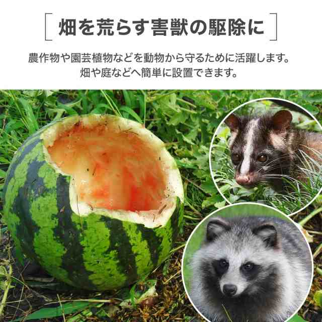 動物捕獲器 取っ手付き 折りたたみ LLサイズ 小動物用 捕獲罠 アニマルトラップ 畑 庭 家庭菜園 トラップ 野良猫 たぬき ねずみ 対策  アの通販はau PAY マーケット Regolith au PAY マーケット－通販サイト