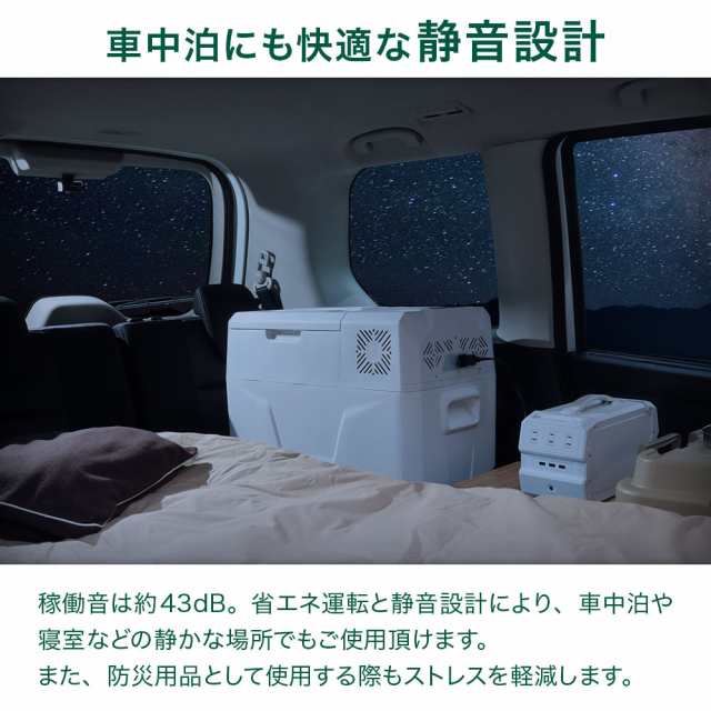 車 冷蔵庫 車載 冷凍庫 保冷庫 保冷ボックス 40L -20℃ トラック用品 AC