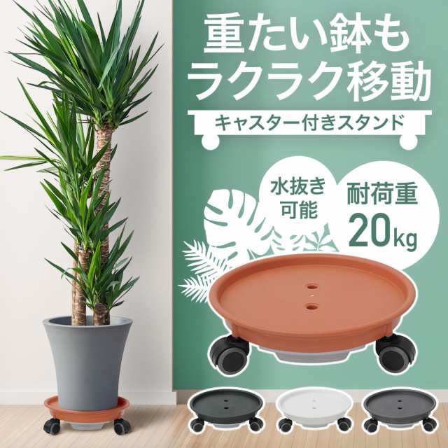 植木　(台杉) 積み込みお手伝いいたします。おまけ付