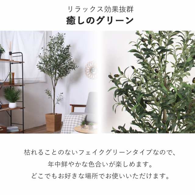 観葉植物 オリーブ オリーブの木 ユーカリ 150cm 180cm フェイク