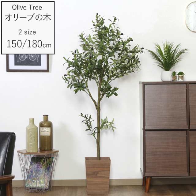 観葉植物 オリーブ オリーブの木 ユーカリ 150cm 180cm フェイク