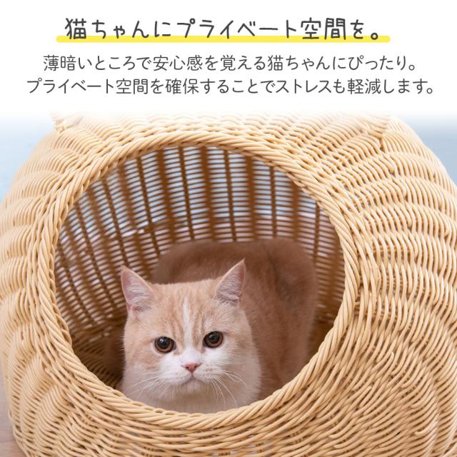 猫ちぐら 洗える 洗える超抗菌素材の猫ちぐら ペットベッド キレーネ