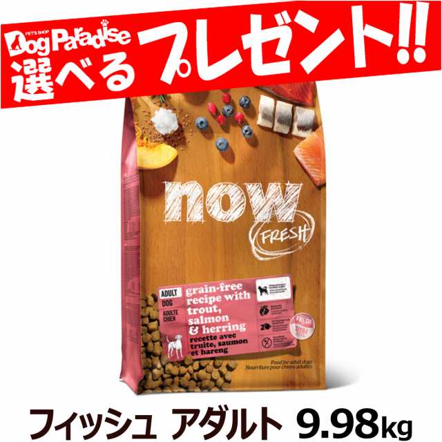 [10%OFFキャンペーン12月25日まで]ナウ フレッシュ フィッシュアダルト9.98kg NOW FRESH 犬 ドッグフード ドックフード グレインフリー