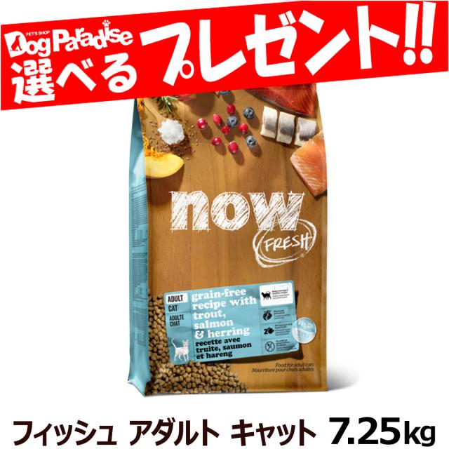 【沖縄以外送料無料】ナウ フレッシュ フィッシュアダルトキャット7.25kg NOW FRESH 猫 キャットフード グレインフリー 成猫 ドライフード