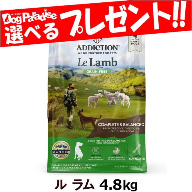 アディクション ル.ラム グレインフリードックフード アディクション ル・ラム グレインフリー ドッグフード 500g: 93｜業務