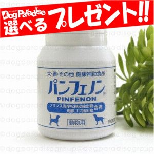 【店内全品送料無料】パンフェノン 120粒