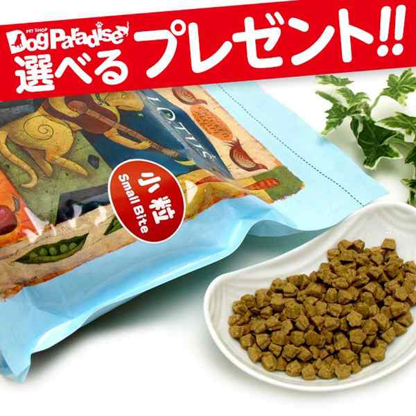 送料無料 沖縄を除く ロータス アダルト チキンレシピ小粒6kg 犬用 犬 フード ドッグフード グレインフリーの通販はau Pay マーケット ドッグパラダイスぷらすニャン