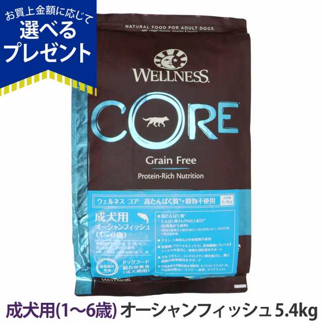 【順次、原材料等を変更】ウェルネスコア 高たんぱく質・穀物不使用 成犬用 1〜6歳 オーシャンフィッシュ 5.4kg 犬 いぬ 乳酸菌 成犬 グ