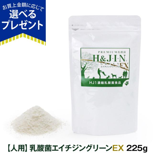 中古】(未使用・未開封品)Wordz Project [DVD]の通販は