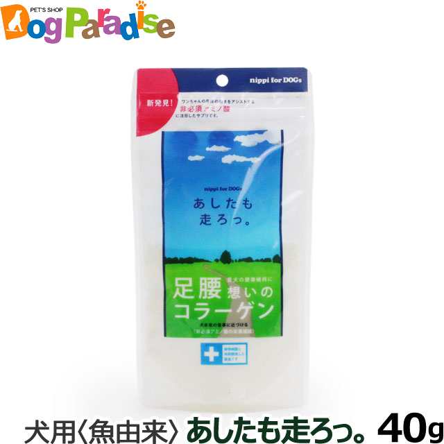 ニッピ Nippi 犬用健康補助食品 あしたも走ろっ 40g 魚由来 コラーゲン ペプチド 関節 骨 皮膚 非必須アミノ酸 非低分子 ジペプの通販はau Pay マーケット ドッグパラダイスぷらすニャン