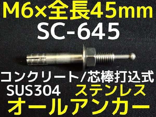 サンコーテクノ オールアンカー SC-645 M6×45mm 1本 ステンレス製