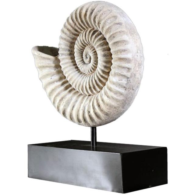 恐竜 オブジェ オウムガイの殻・小 インテリア イベント ディスプレイの通販は 16,800円