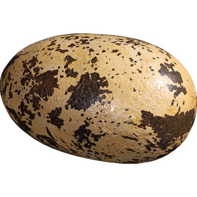 恐竜 オブジェ 獣脚類 恐竜のタマゴ・小 実物大？ インテリア イベント ディスプレイの通販は