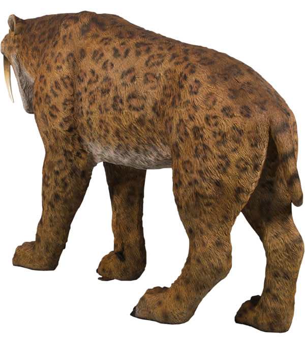 実物大 動物 オブジェ サーベルタイガー Smilodon Sabertoothed Cat インテリア イベント ディスプレイの通販はau PAY  マーケット - Gracious | au PAY マーケット－通販サイト