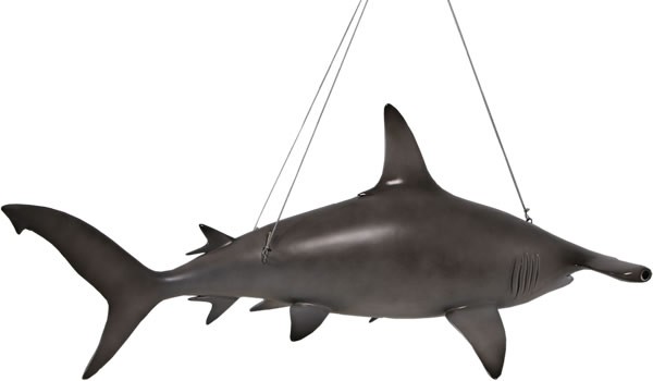 動物 オブジェ ハンマーヘッド・シャーク Hammerhead Shark インテリア