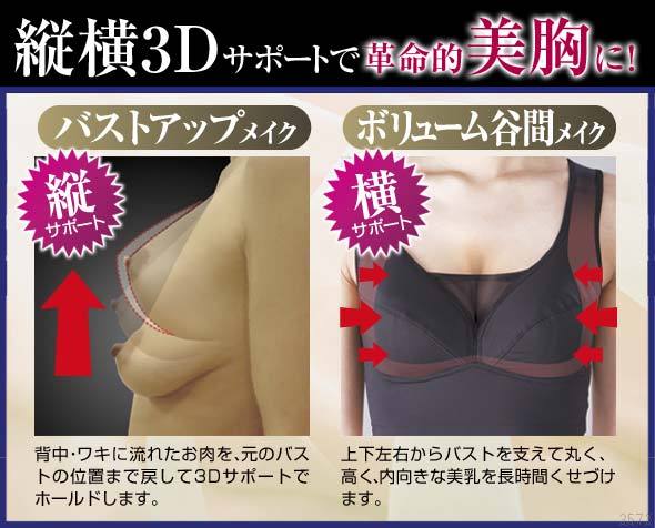 笑い 伝統 お互い 垂れ 乳 ブラ Z Renkei Jp