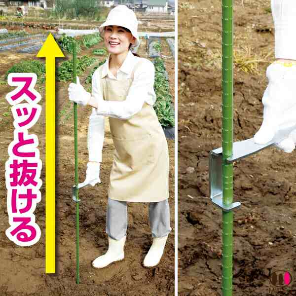 支柱 さし器 おしゃれ ガーデニング 家庭菜園 園芸 畑 園芸支柱 観葉植物 バラ 植木 園芸支柱 園芸用品 つる 矯正 園芸用支柱 用品 庭の通販はau Pay マーケット ヴィヴィアン マルシェ Au Pay マーケット店