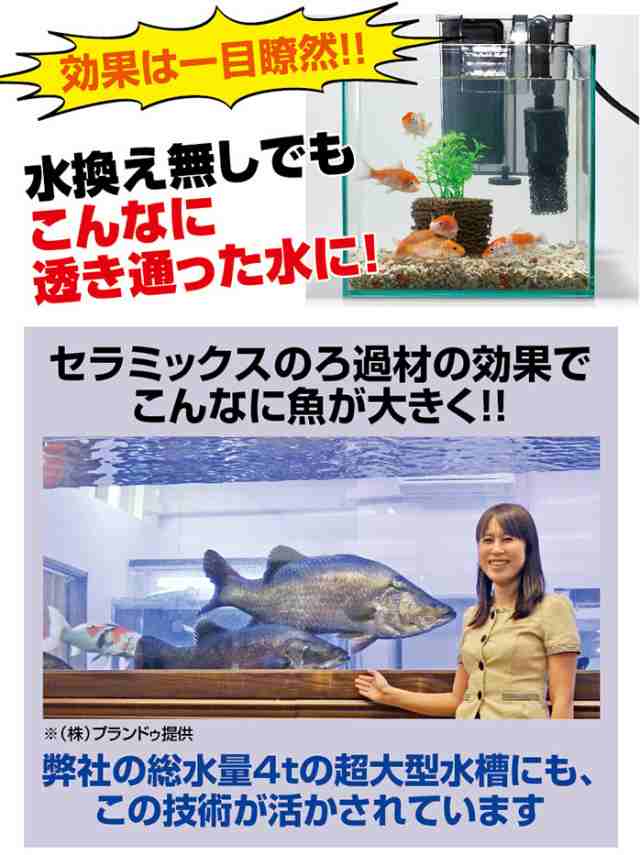 濾過 濾過装置 濾過フィルター 水槽 浄化生物 水換え 濾過器 水 濾過材 濾過マット 濾過機 ろ過の通販はau Pay マーケット ヴィヴィアン マルシェ Au Pay マーケット店