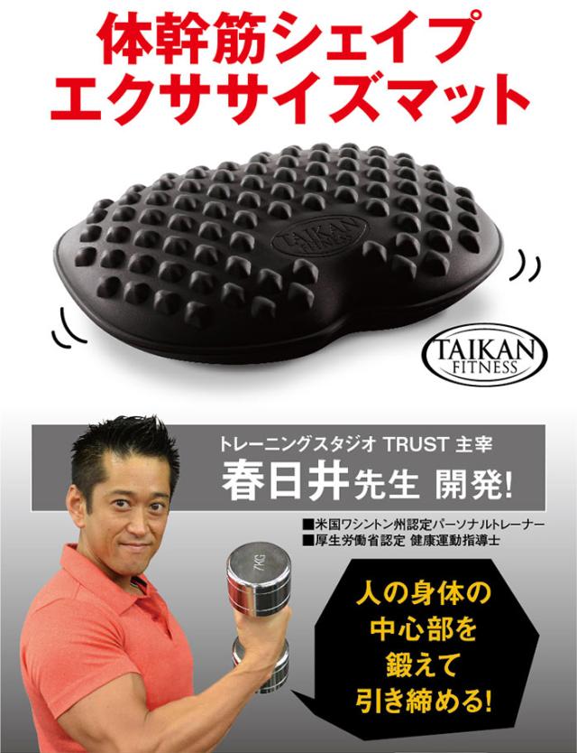 体幹 ダイエット クッション 体幹トレーニング トレーニング オフィス ダイエット器具 お腹周り エクササイズ 体幹筋 下腹 背中 ながらの通販はau Pay マーケット ヴィヴィアン マルシェ Au Pay マーケット店
