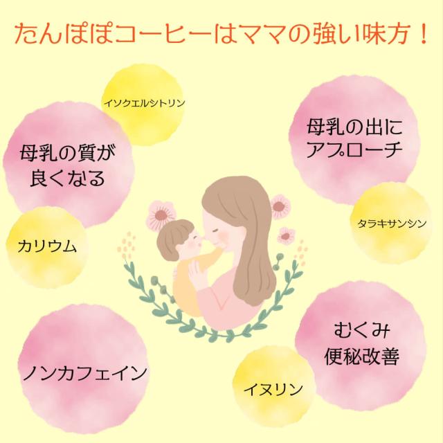 たんぽぽコーヒー 2g×62p×10袋 　　　送料無料 ティーバッグ たんぽぽ タンポポ 珈琲 たんぽぽ茶 ノンカフェイン メール便 母乳 育児 妊活 妊婦 授乳