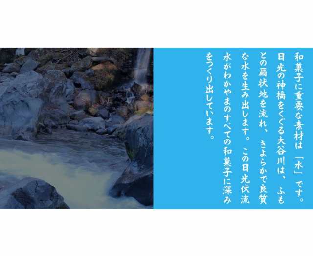 わかやま 小豆 蒸し ようかん 5個 送料無料 小豆羊羹 あずきようかん 羊かん 羊羹 和菓子 スイーツ お菓子 ポイント消化 1000円  ポッの通販はau PAY マーケット - わが家のちゃぶ台