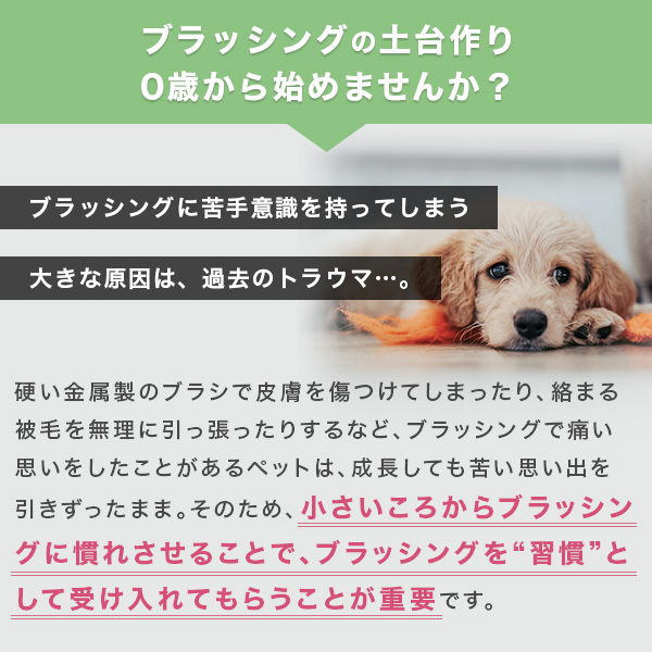 クーポン配布中 ペット ブラシ タングルティーザー 正規品 ペットティーザー パピー ペット用品 子犬 グルーミングブラシ 魔法のブラの通販はau Pay マーケット Tangle Teezer Japan