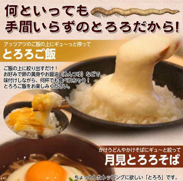 自然薯 とろろ 鹿児島県産 40g 10パック セット じねんじょ 山芋 国産 小分け パック 簡単 とろろご飯 とろろそば 蕎麦 冷凍 同梱可能の通販はau Pay マーケット 豊洲からの直送便