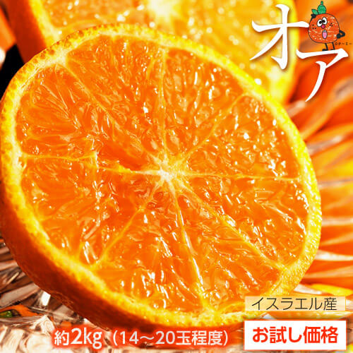 オレンジ オア イスラエル産 約2kg 14 玉 送料無料の通販はau Pay マーケット 豊洲からの直送便
