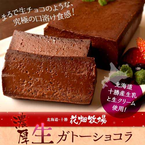 ケーキ チョコレート 花畑牧場 濃厚 生 ガトーショコラ 480g 2本セット 業務用 おやつ チョコケーキ 冷凍の通販はau Pay マーケット 豊洲市場ドットコム