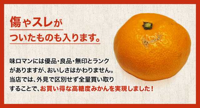 11/6まで早割【糖度12度選別】 極甘みかん 『味ロマン』 JA長崎せいひ 約2.5kg×2箱 外皮に傷あり (11月出荷：2S～M、12月出荷：S～L)  ※の通販はau PAY マーケット - 豊洲からの直送便