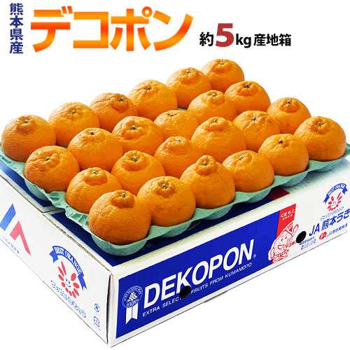 デコポン 糖度13度 熊本県産 柑橘 約5kg 18〜24玉　無印　産地箱入 常温 送料無料 みかん デコポン