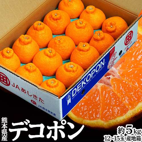 「デコポン」 熊本県産 優品以上 大玉 約5kg（12〜15玉）産地箱 ※常温　送料無料　熊本デコポン 柑橘の通販は