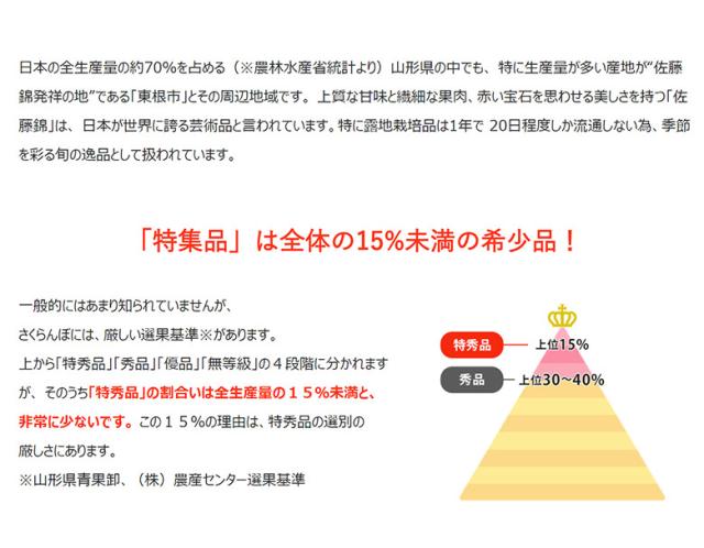 佐藤錦 山形県産 さくらんぼ 特秀品 Lサイズ 約700g （約350ｇ×2P）化粧箱 ※冷蔵 産地直送 ギフト 贈答 送料無料_2