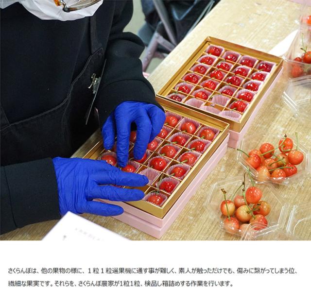 佐藤錦 山形県産 さくらんぼ 特秀品 Lサイズ 約700g （約350ｇ×2P）化粧箱 ※冷蔵 産地直送 ギフト 贈答 送料無料_3
